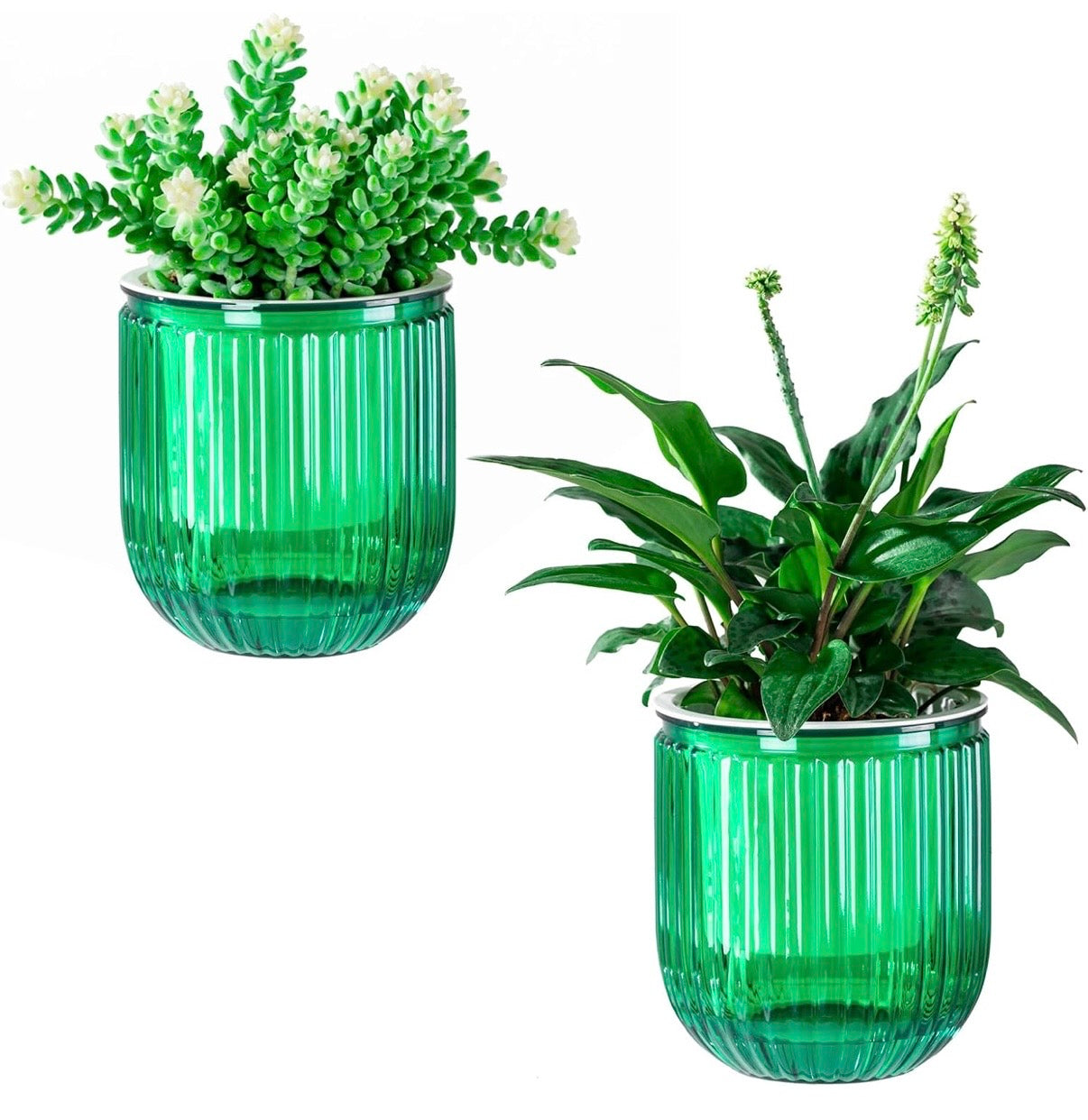 Self Watering Plant Pots for Indoor Flower Pots, 6.5 Inch 2 Pack Planters Plant Pots Indoor with Drainage