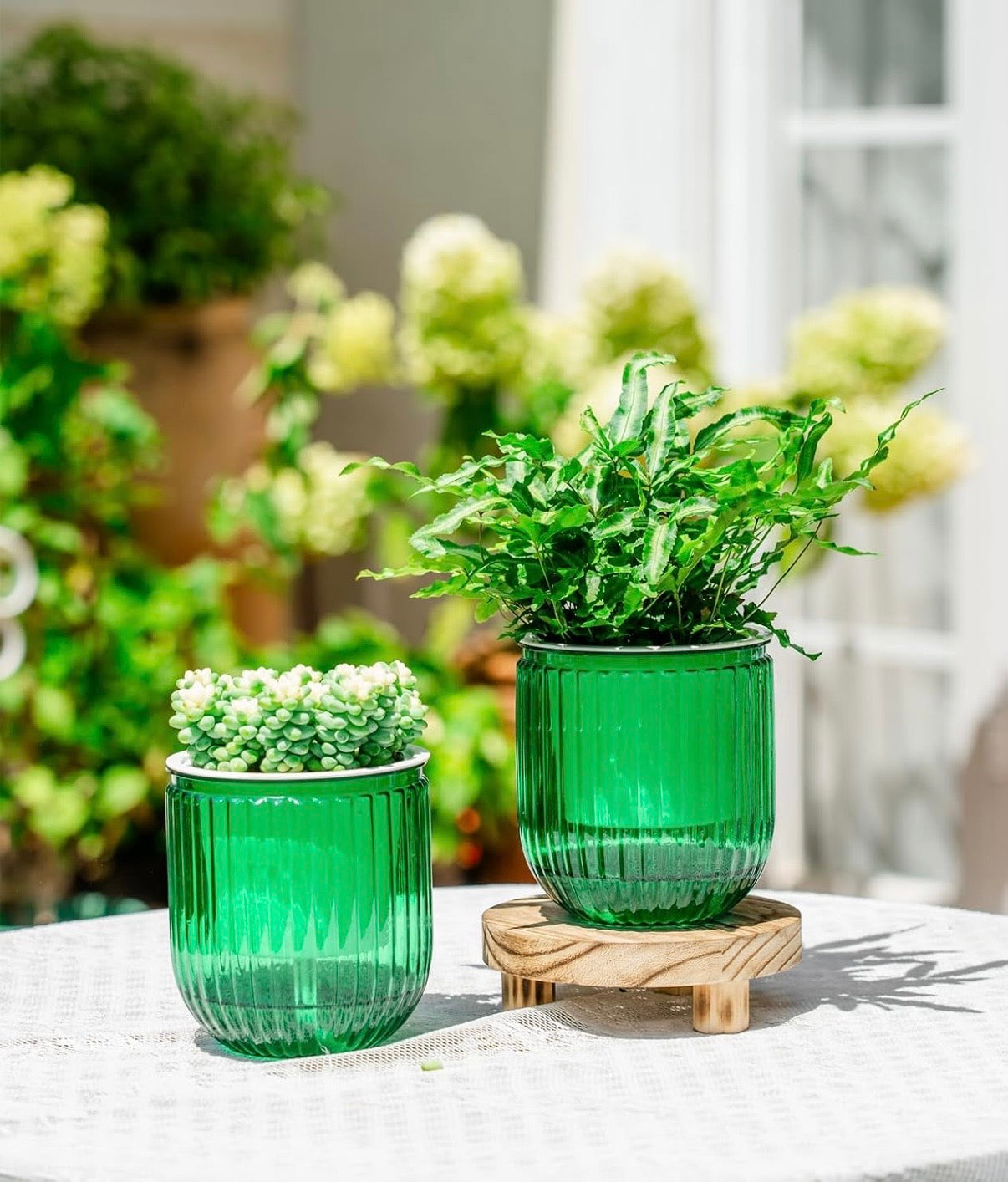 Self Watering Plant Pots for Indoor Flower Pots, 6.5 Inch 2 Pack Planters Plant Pots Indoor with Drainage