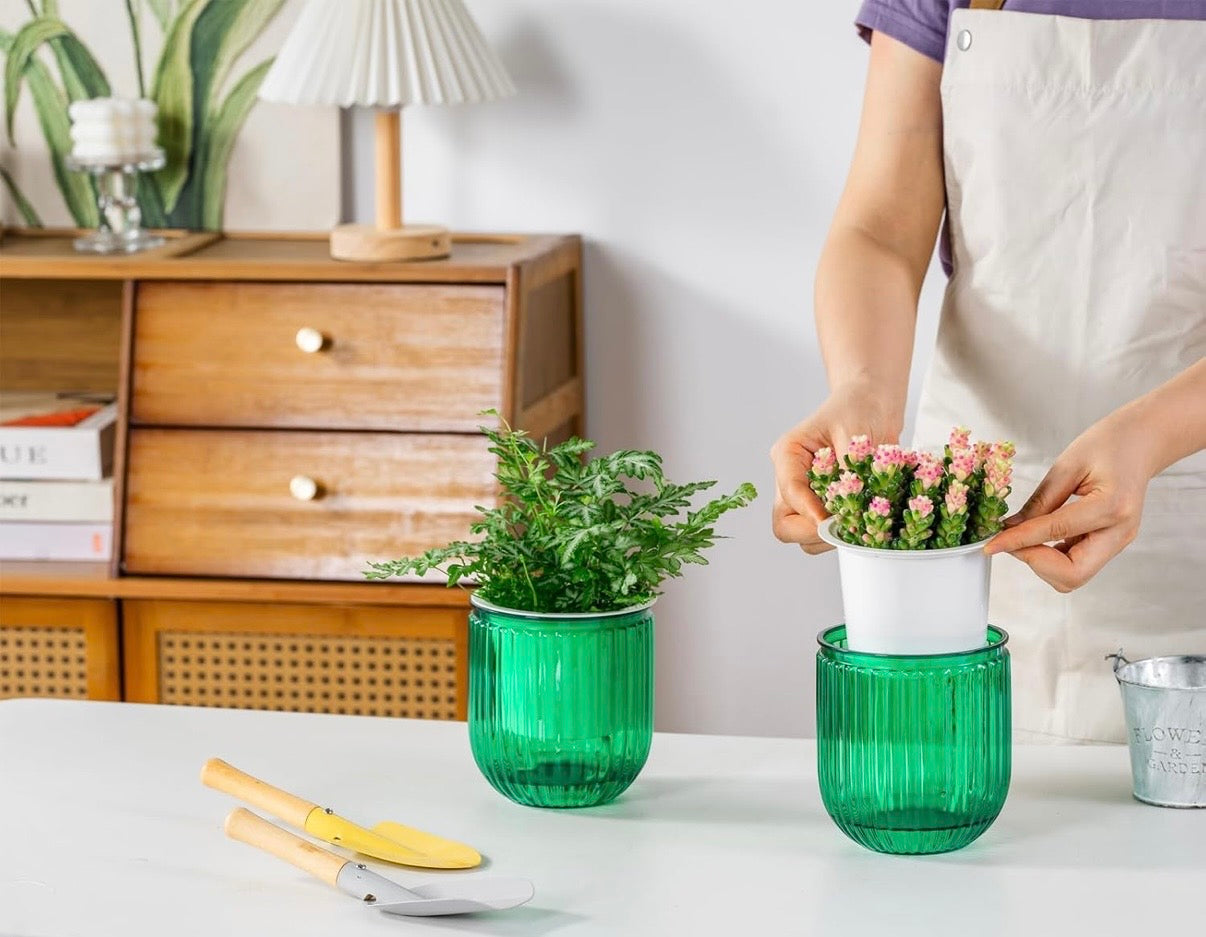 Self Watering Plant Pots for Indoor Flower Pots, 6.5 Inch 2 Pack Planters Plant Pots Indoor with Drainage