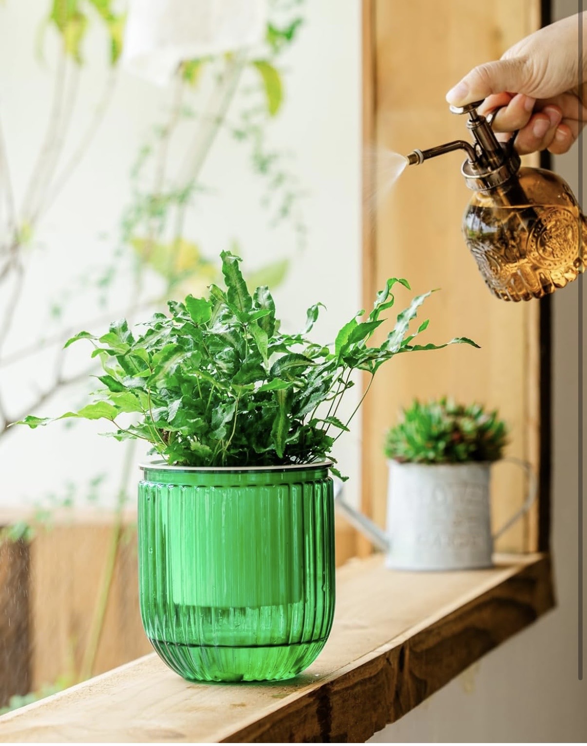 Self Watering Plant Pots for Indoor Flower Pots, 6.5 Inch 2 Pack Planters Plant Pots Indoor with Drainage